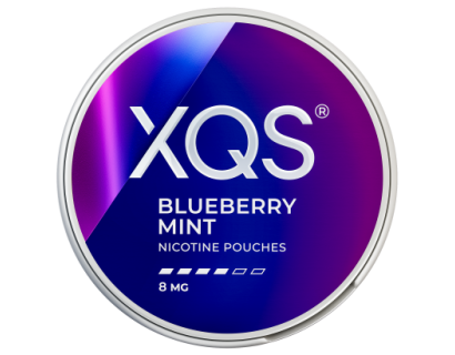 SNUS никотиновые паучи XQS Blueberry Mint